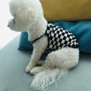 쿨스타일 - 송파구 올림픽로 265 | 쿨스타일