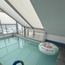 바다랑B펜션 | 경주바다뷰펜션 감포펜션 , 펜트빌 경주풀빌라 후기