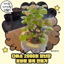 새싹 | 다이소 꽃화분 블록 그린새싹 후기｜아이와 카페 놀이 추천