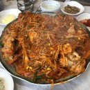 동화공원 Daum카페