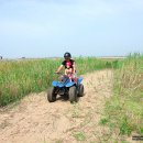 효용검도관 이미지