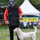 멋쟁이 이미지