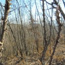 남양신도시주유소 이미지