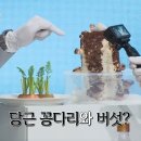 손수반찬