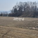 귀한손님공인중개사사무소 이미지