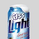 카스 라이트 카카오 검색결과