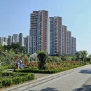 금강행정사 사무소 이미지