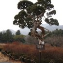 가평파인힐펜션 이미지