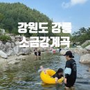 소금강마을 | 강릉 오대산 &#39;소금강계곡&#39;에서 시원한 여름휴가 보내기
