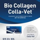 재생동물병원 이미지