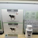 호주면세점직영할인점 이미지