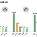 차기대권주자 지지율 이미지