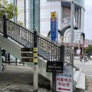 엠시티 | 일산 정발산역 엠시티웨딩홀 하객후기/식사