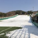 금화왕돈까스 포항문덕점