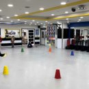 국가대표아이태권도장 네이버블로그