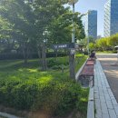 연수농장 | 송도센트럴파크 사슴농장 위치 및 방문 후기 아이와 인천 나들이 코스 추천