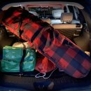 강애산애 이미지