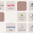 뉴용평관광