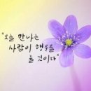 더블랙 당구클럽 Daum카페