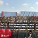 펫아울렛 이미지