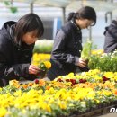 백양산 양묘장 이미지