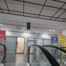 동진결혼정보컨설팅 | 청주 퍼스널컬러 잘하는 곳 진단 후기 : LEMUA 레무아 퍼스너컬러 컨설팅