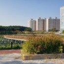 포충로61 이미지