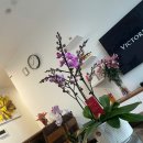 웨스트포인트 이미지