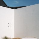 도고(DOGO) 이미지