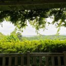 태산목장 이미지