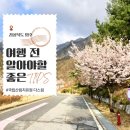 경북 영주 국립 산림치유원 숙소 정보 (프로그램 조식 식당 카페 이용 후기)
