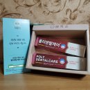 폴리덴탈 이미지