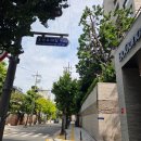방배숲환경도서관 옥상1 | 주말 산책 : 서리풀 공원 전망대 그리고 방배숲환경도서관
