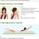지방간 간수치 ALT AST 정상 범위 검사 및 간수 치 높을 때 예방법 이미지