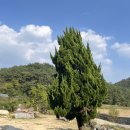 발리동천 이미지