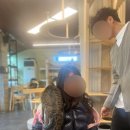 캣인큐브 | 청주 데이트코스로 딱! 캣인큐브 고양이 천국에 다녀온 후기