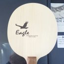 이글디자인 이미지