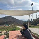 하이원 하늘아래 동물농장 이미지