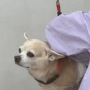 미용실다온 이미지