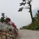 한일농원 이미지