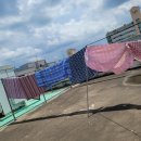 하버드고시텔 - 수원시 팔달구 창룡대로8번길 40 | 하버드고시텔