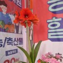 드림할인마트 이미지