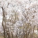 재다디자인 이미지