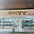 강아지분양 마이댕냥 일산점 네이버블로그
