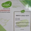 멋진블라인드커튼