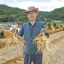 풍기인삼 - 부산진구 중앙대로783번길 23 | 풍기인삼