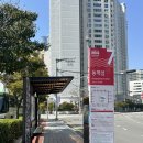 부산시티투어(협) | 부산시티투어버스 솔직 후기 / 할인된 여행특공대 티켓 구매하는 법