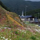 리산애감성여행
