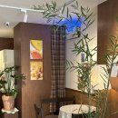 법성포뉴타운 2지구 | [맛집소개] 은평뉴타운 “카페 프리헷” 실제이용후기