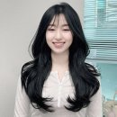 코르브(CORVE) 이미지
